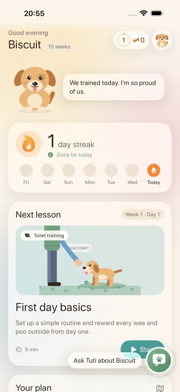 The home screen with streak and next lesson