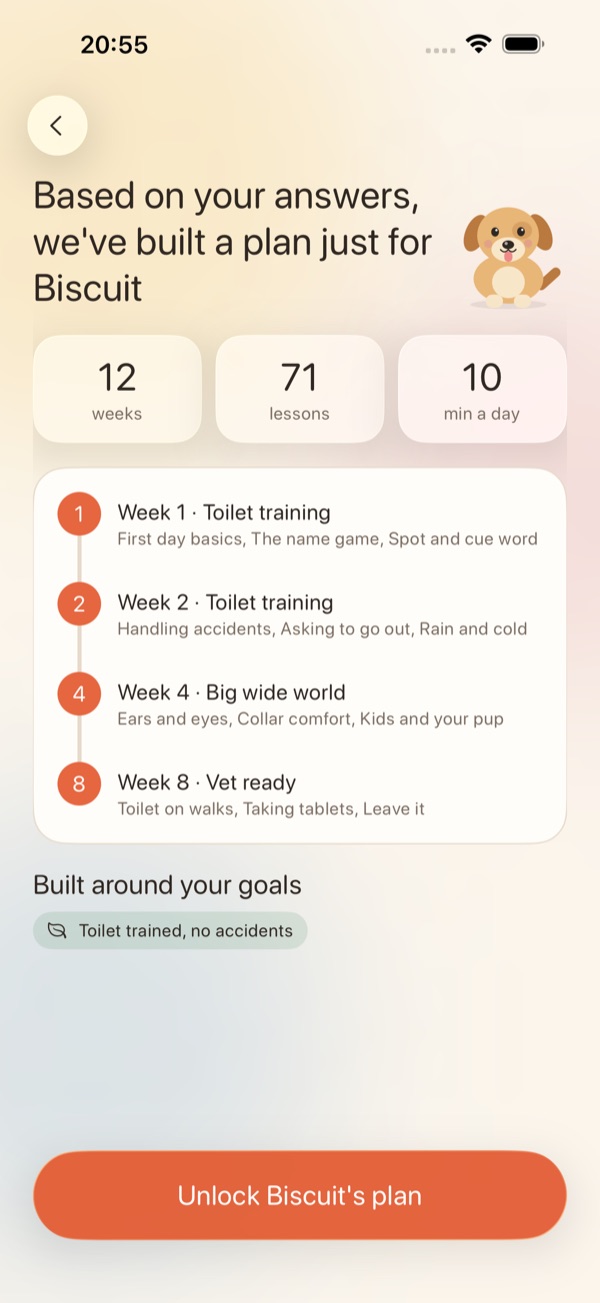 A personalised training plan